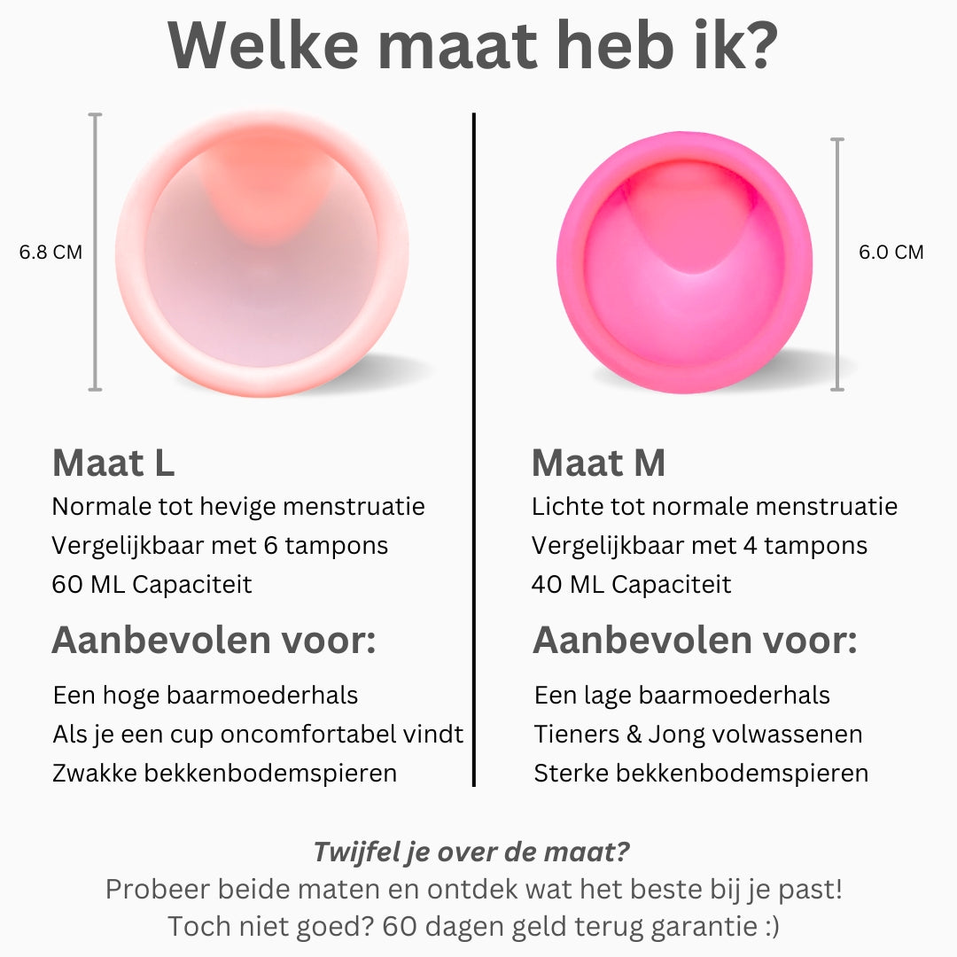 Menstrual Disc